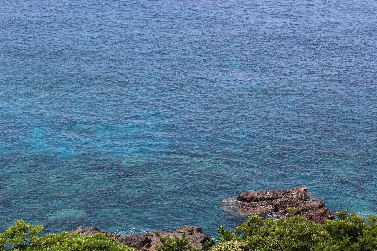 Cottage Yakusugi House Yakushima  Exterior photo