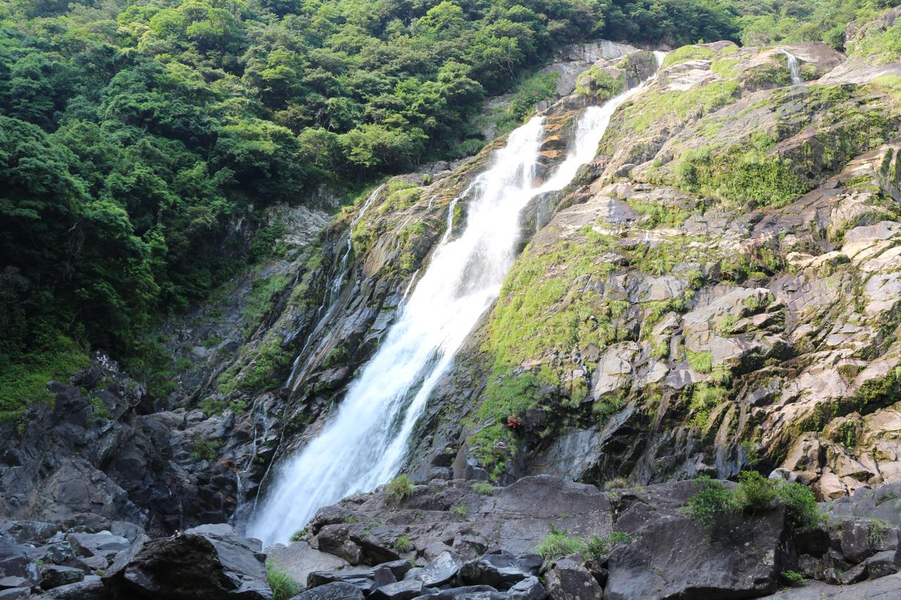 Cottage Yakusugi House Yakushima  Exterior photo
