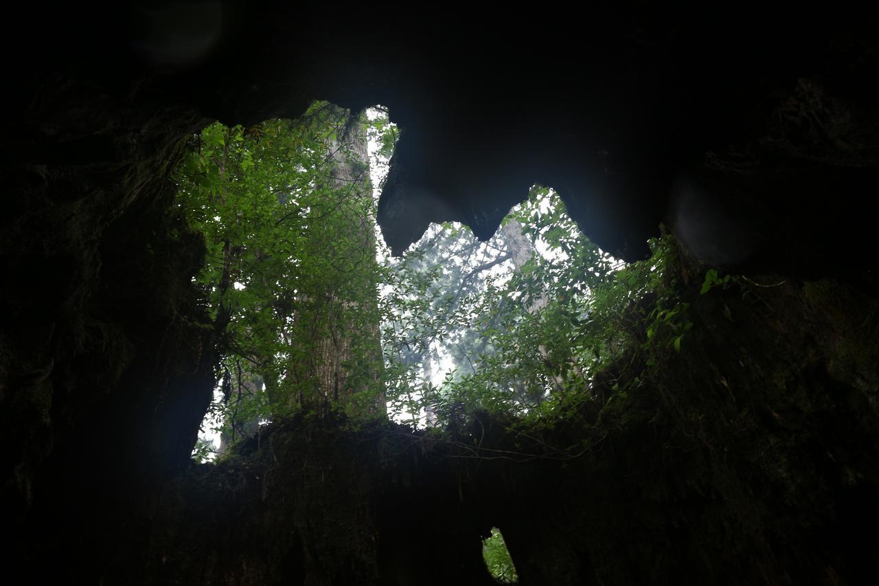 Cottage Yakusugi House Yakushima  Exterior photo