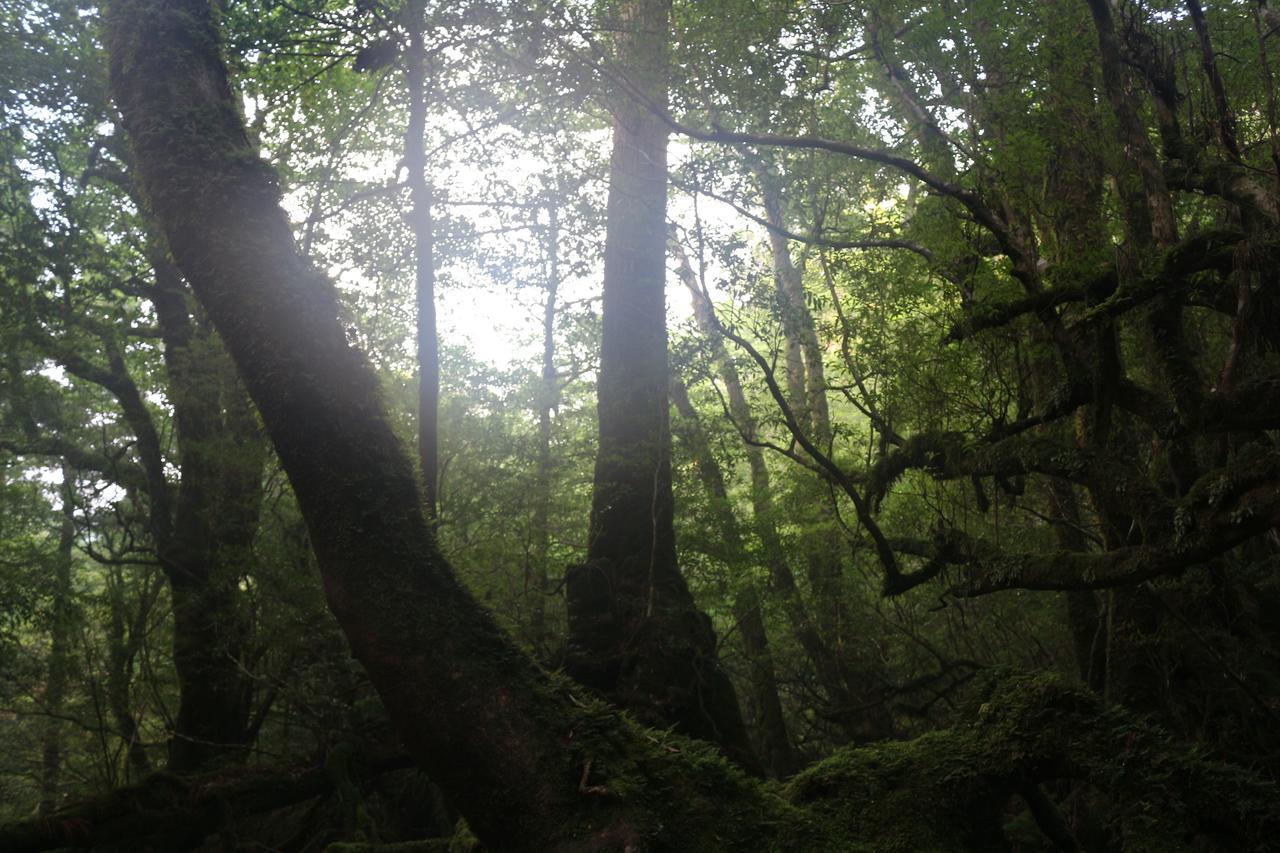 Cottage Yakusugi House Yakushima  Exterior photo